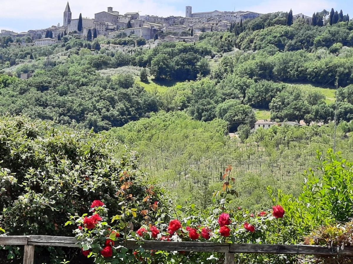 Agriturismo Borgo Montecucco Villa Todi Exterior photo