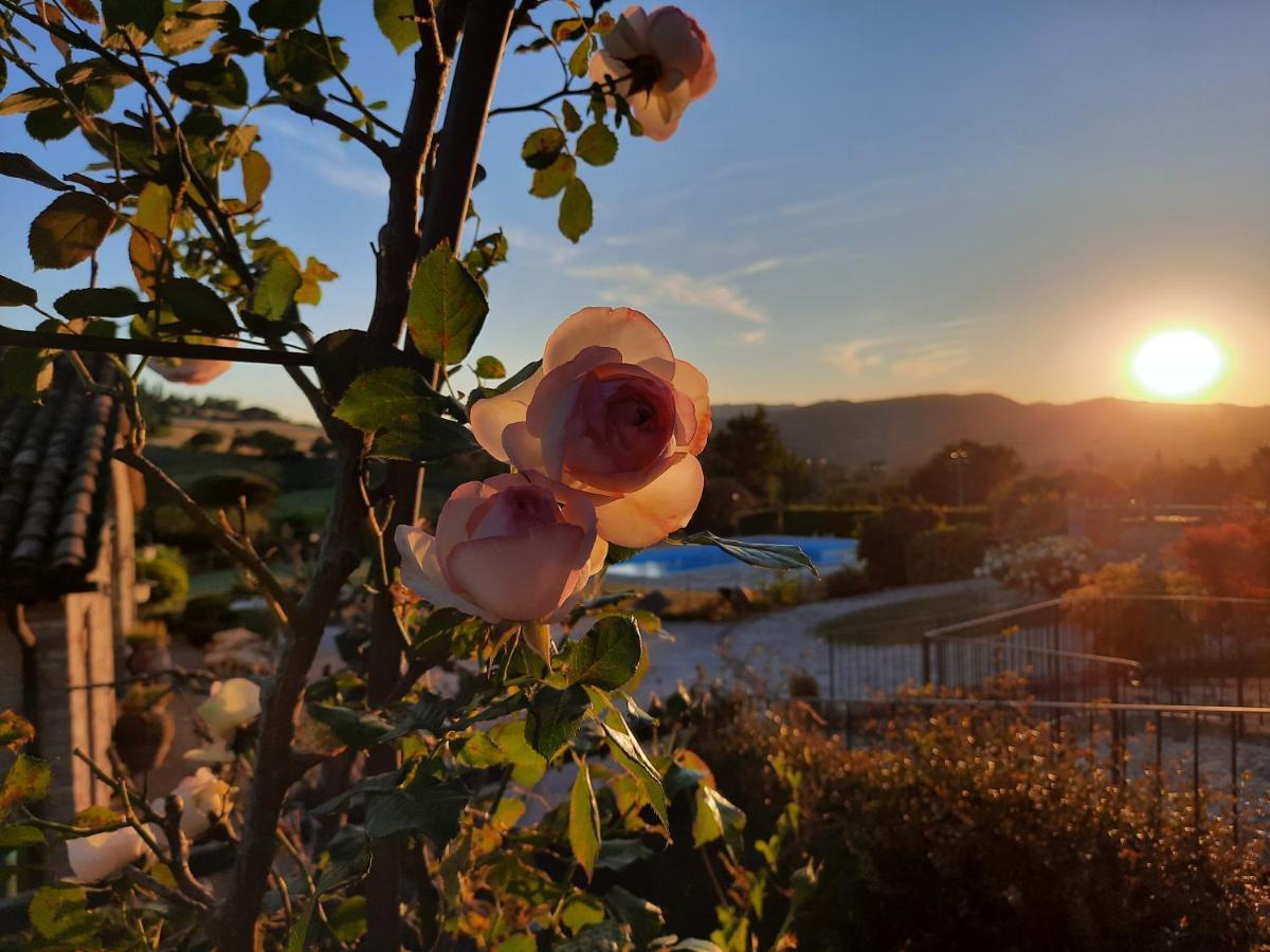 Agriturismo Borgo Montecucco Villa Todi Exterior photo