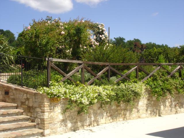 Agriturismo Borgo Montecucco Villa Todi Exterior photo