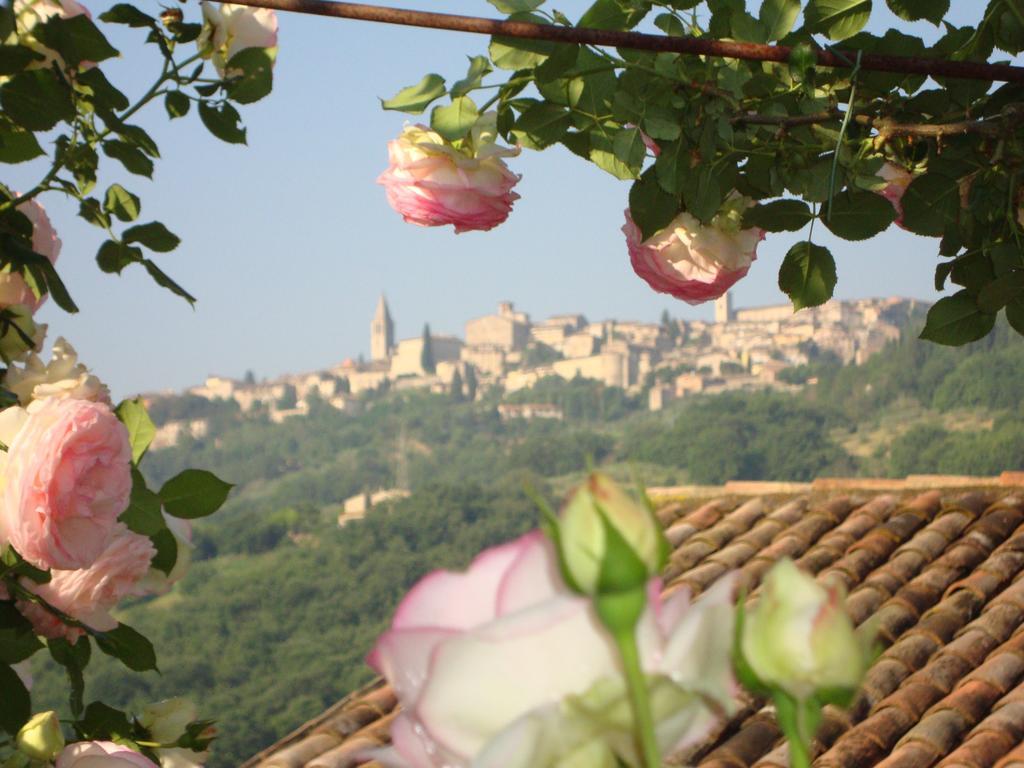 Agriturismo Borgo Montecucco Villa Todi Exterior photo