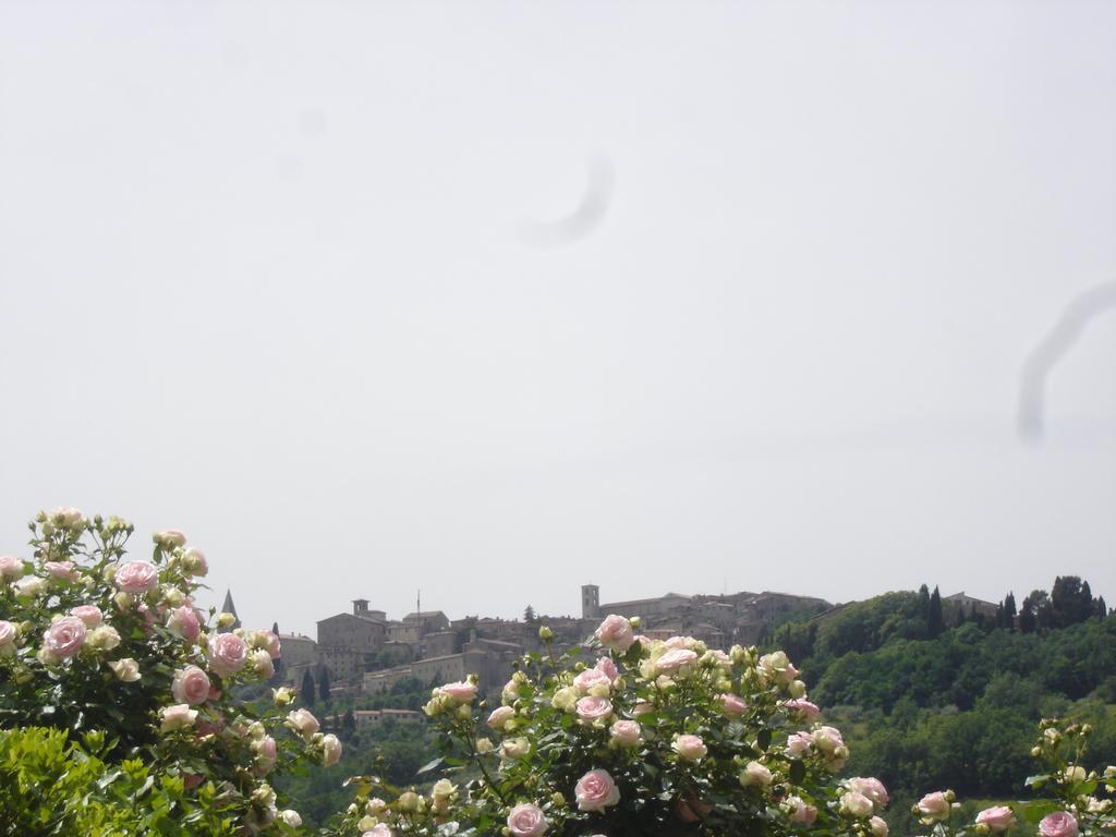 Agriturismo Borgo Montecucco Villa Todi Exterior photo